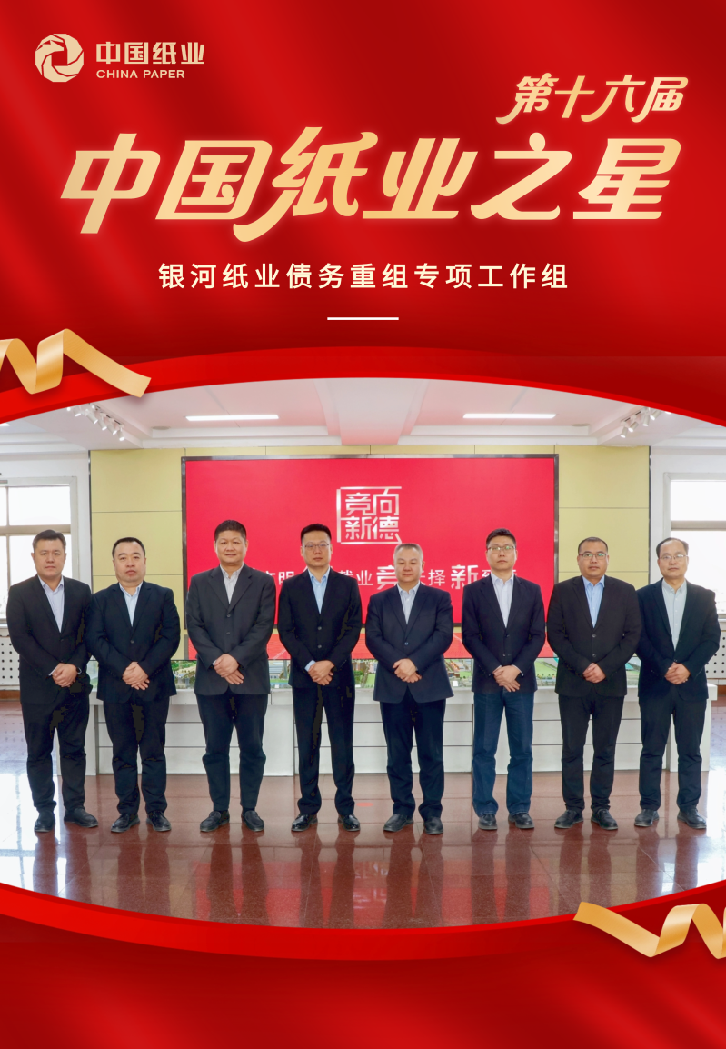 11 银河纸业债务重组专项工作组