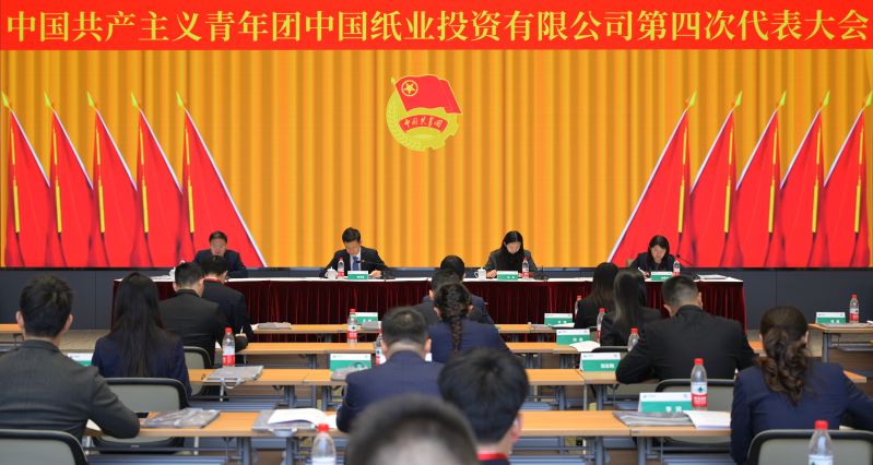 共青团中国纸业投资有限公司第四次代表大会胜利召开