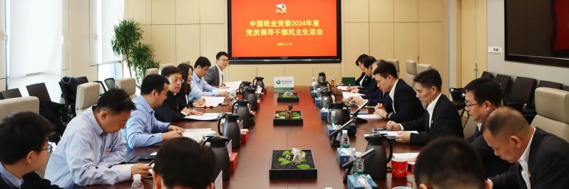 中国诚通党委副书记、总经理郭祥玉指导中国纸业党委2024年度党员领导干部民主生活会