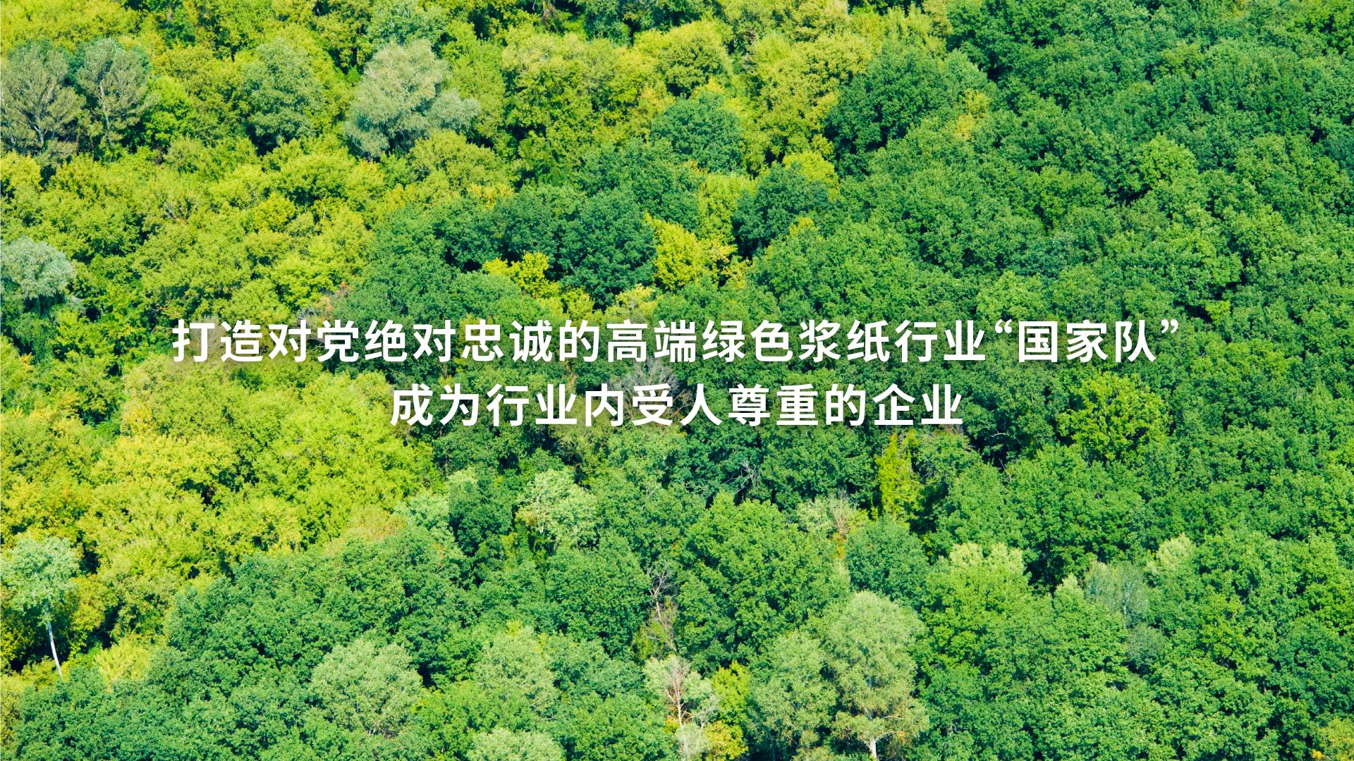 打造对党绝对忠诚的高端绿色浆纸行业“国家队”，成为行业内受人尊重的企业