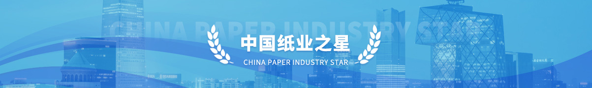 中国纸业之星