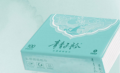 轻奢新中产