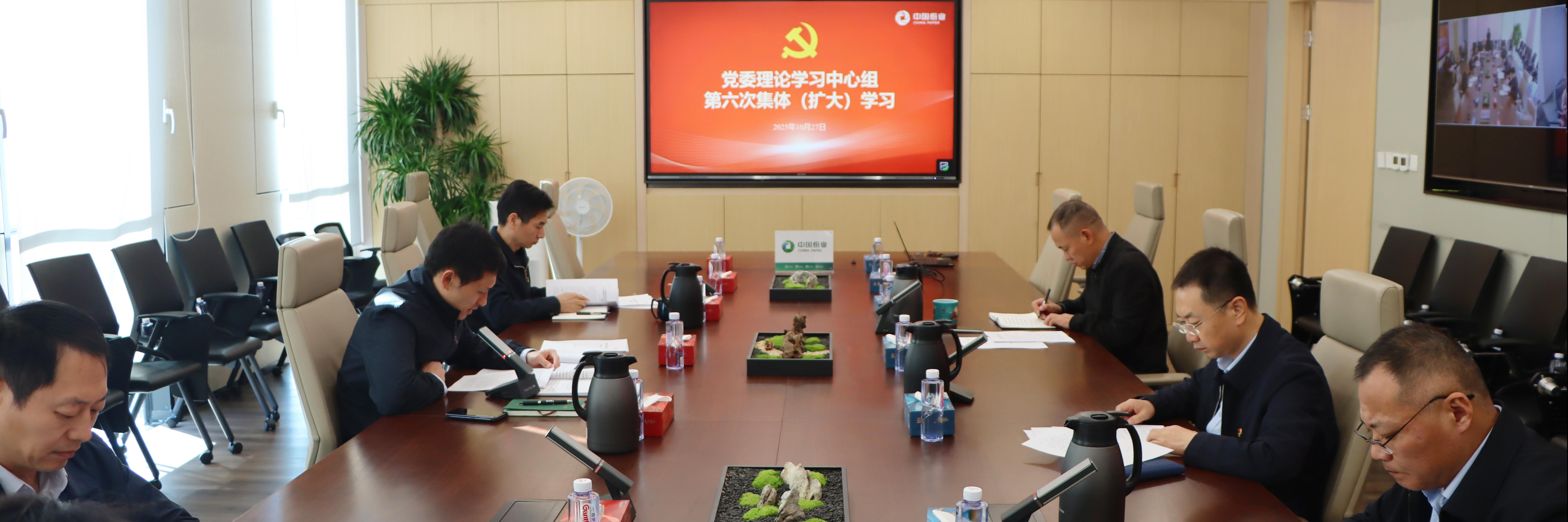中国纸业党委理论学习中心组开展2025年第六次集体（扩大）学习
