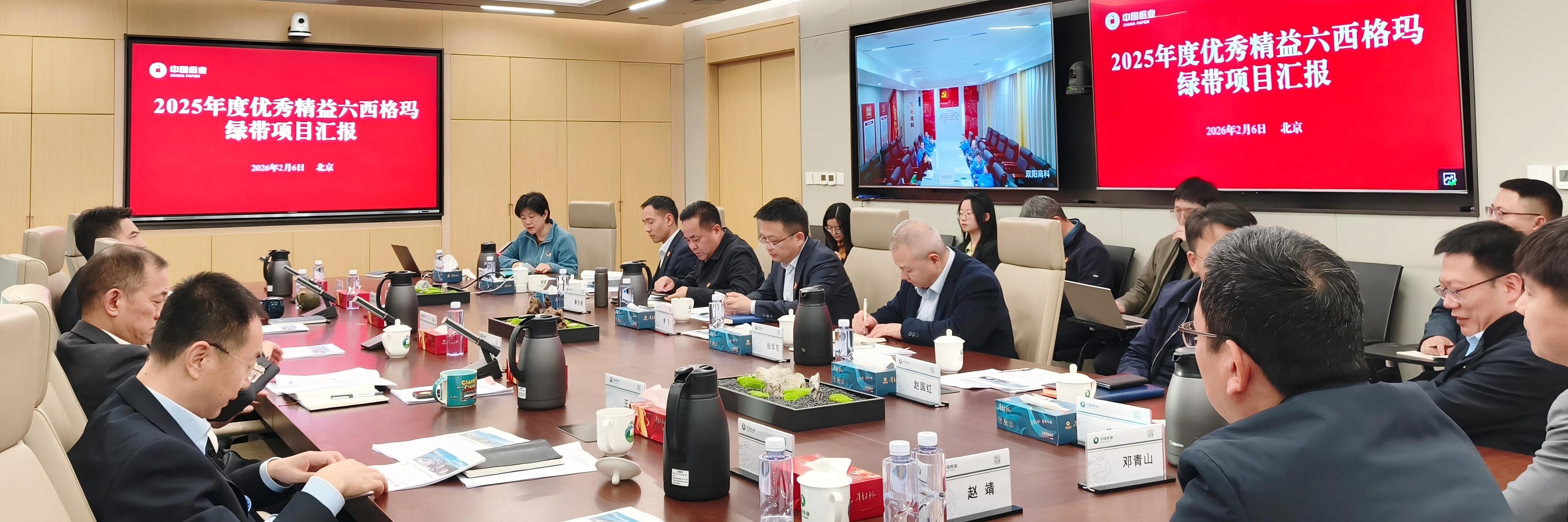 中国纸业召开2025年度优秀精益六西格玛绿带项目案例分享会